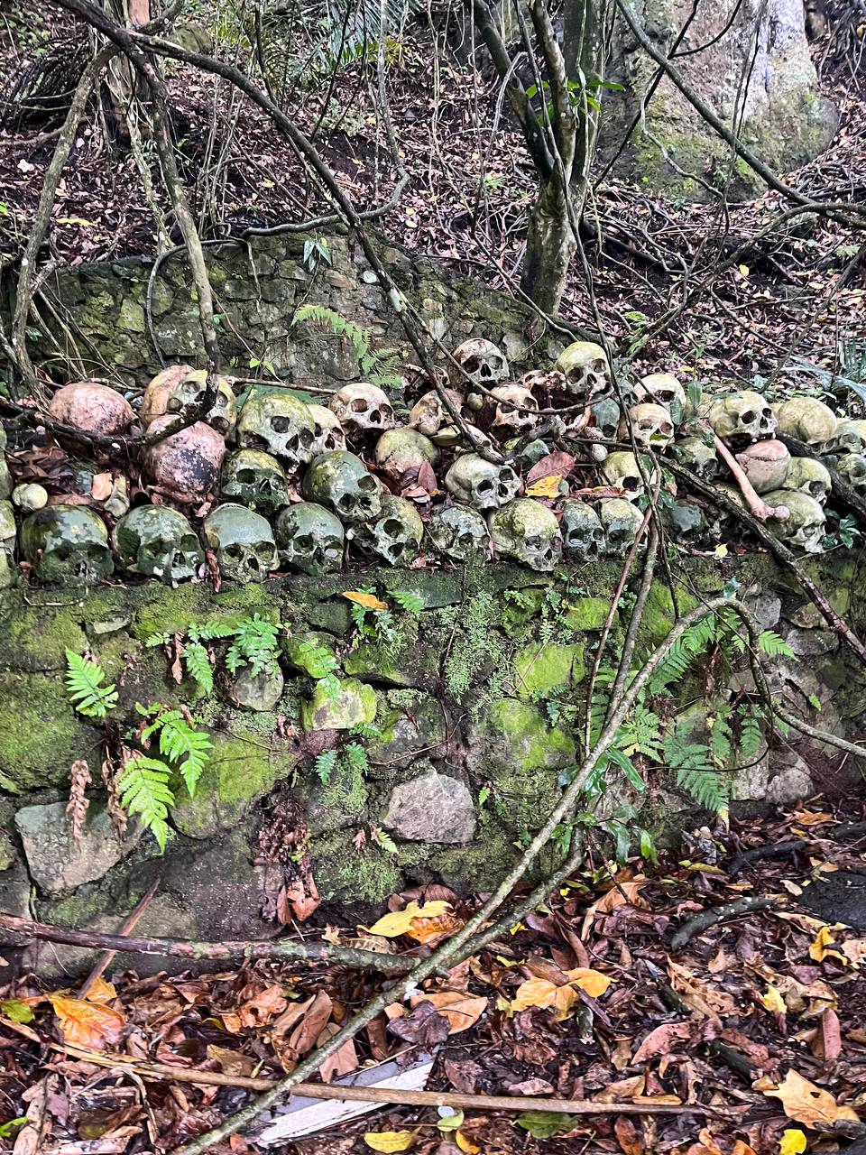 Cemetery with skulls